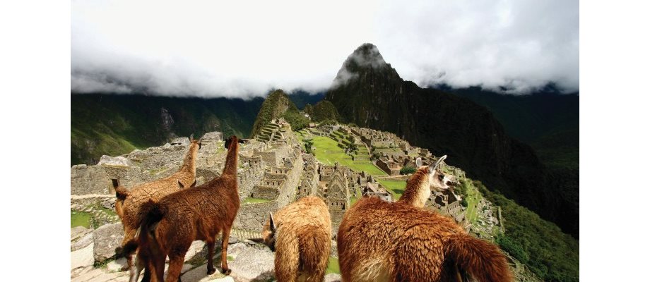 Sacred Land of the Incas
