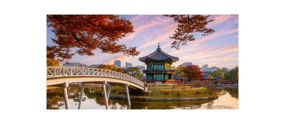 Best of South Korea