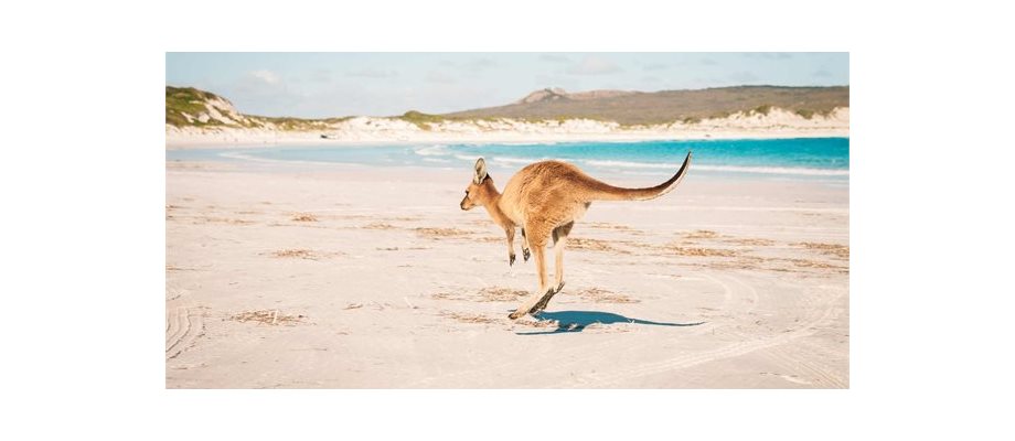 Australian Highlights