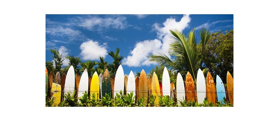 Best of Hawaii Moderate