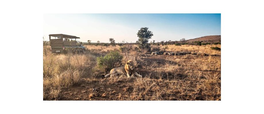 Best of South Africa with Victoria Falls